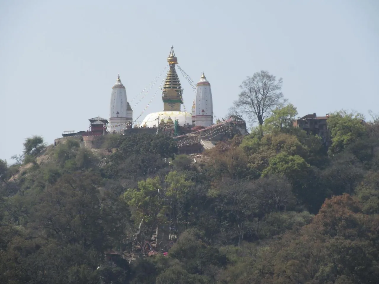 ゲストハウス Stupa View Inn カトマンズ